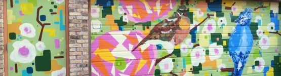 Colorful street walls