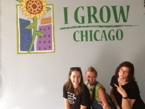 Three women taking a picture in front of a painted wall